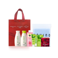 25 资生堂冬季套装 F型