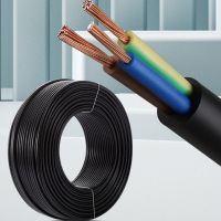 民兴电缆 ZC-RVV-2*4(100米)软电缆