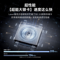 雷克沙 内存条4K v30 SilverPlus 256GB 205MB/s