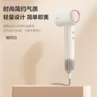 美的电吹风FG201