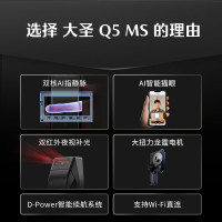 德施曼指静脉智能锁 防盗门非指纹锁 可视猫眼智能门锁电子锁密码锁Q5MS高端黑