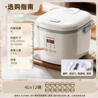 志高(CHIGO) 电饭煲4L FBD40-P