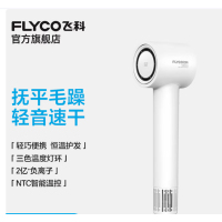 飞科(FLYCO)高速电吹风机FH6370