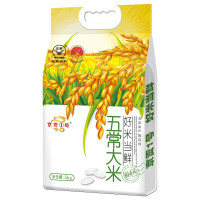 京贡1号 五常大米 好米当鲜稻香米10斤 东北大米 粳米 真空包装