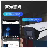 大华摄像头超能max精准搜索人脸车辆检测监控 400万 DH-IPC-HDBW8443R1-ZRL