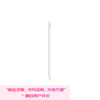 苹果 Pencil(第二代) 磁吸触控笔手写笔苹果笔电容笔书写绘画ipad笔