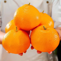 四川 粑粑柑 净重8斤/盒