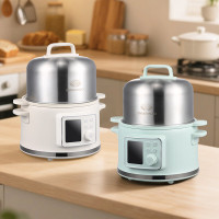 大宇(DAEWOO)多功能炖蒸煮锅DYLL-2R36