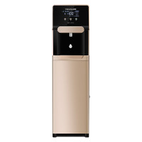英领 YL-ZYJ-100A 商用机净水机五级过滤 香槟色 10升