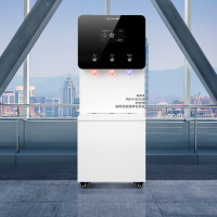 英领 YL-Z60 商用机净水机五级过滤 白色 60升