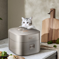 苏泊尔 SF30HC85 电饭煲 3L (计价单位:台) 香槟色