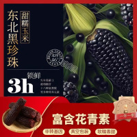 非转基因黑土地甜糯玉米200g*8穗