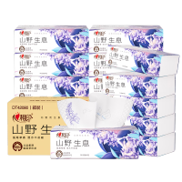 心相印向野而生80抽18包四层塑装面巾纸(鼠尾草印花)M码(箱装)DT42080