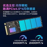 宏碁掠夺者(PREDATOR)SSD固态硬盘 M.2接口 NVMe PCIe 4.0/5.0协议 电脑配件