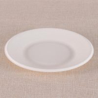 芳草地3G6039一次性盘子20.5cm*40只户外烧烤水果纸盘纸碟儿童手工DIY纸浆餐具