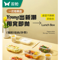双枪一次性餐盒套装食品级上班族外卖便当盒家用饭盒打包盒泡面碗
