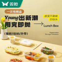 双枪一次性餐盒套装食品级上班族外卖便当盒家用饭盒打包盒泡面碗1