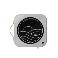 小熊电陶炉电磁炉大功率电陶炉小型电磁灶家用不挑锅具DTL-D22R1