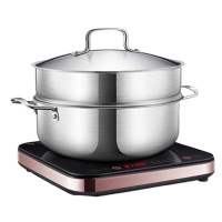 苏泊尔电磁炉套装家用匀猛火滑控调节电磁炉套装C21-IC20