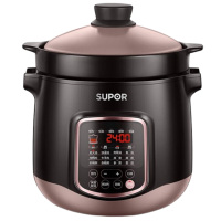 苏泊尔电炖锅6L煲汤锅炖汤锅多功能电炖锅DG60YC13-70