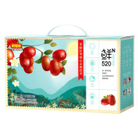 好想你红枣新疆特产免洗去核即食大枣休闲零食二级锁鲜礼盒520g