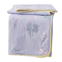 多喜爱空调被夏凉被春秋被可水洗152*218cm磨绒夏被静语柔风