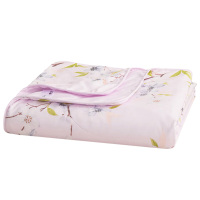 多喜爱空调被夏凉被春秋被可水洗152*218cm磨绒夏被素曦