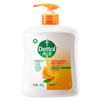 滴露洗手液温和清洁滋润倍护滋润倍护自然清新500g*1瓶