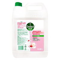 滴露洗手液玻尿酸有效抑菌洗手全家套装滋润倍护5L*1瓶