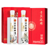 五粮液白酒贵宾臻耀文创窑香浓郁纪念酒500ml*2瓶
