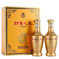 五粮液白酒财富人生金钻52度浓香型白酒500ml*2瓶