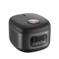 荣事达电饭煲3L家用智能预约多功能焖煮电饭煲RFB-S30R