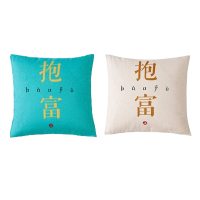 罗莱枕被家用抱富靠背枕纤维多功能枕头37*37cm(颜色随机)