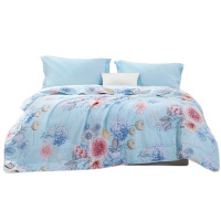 富安娜床品七孔抗菌印花夏被流光若梦内芯蓬松会呼吸203*229cm
