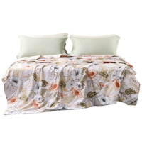 富安娜床品印花蚕丝被清逸悠扬软糯磨毛丝质绵长203*229cm