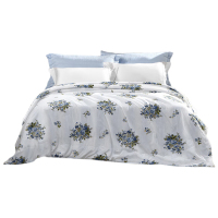 富安娜床品抗菌桑蚕丝被慕光之城纯棉印花面料203*229cm