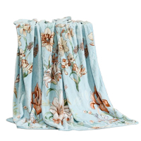 富安娜法兰绒毯忆辰音单层丰盈绒感亲肤治愈180*200cm