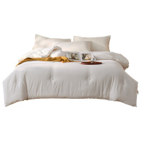 洁丽雅夏被200*230cm透气舒适柔暖细腻贴肤性好希怀JLYDB004