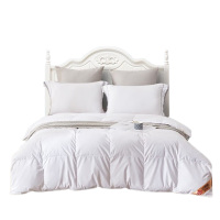 洁丽雅丝绒被200*230cm轻盈舒适柔暖细腻诗羽JLYYR001
