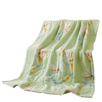 天琴被子200*230cm轻盈透气上林春色TQ-B096