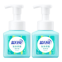 蓝月亮洗手液套装温和泡沫型鲜果薄荷香255ml*2瓶(包装随机)