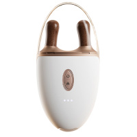 科爱元素按摩器随身易携3档热敷曲度设计红砭石标准版CI177A