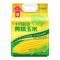 十月稻田玉米颗粒饱满软糯香甜味道浓郁色泽金黄1.76kg(包装随机)