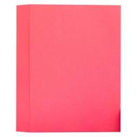 晨光彩色复印纸A4100张80g*2包深红APYVPB0239