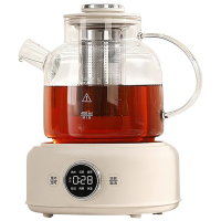 徕多电水壶1L功能多样大容量通透易清洁滤筒款D11-MB-LTK