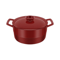 双立人饭釜锅22cm一体式锅盖和手柄Dragon系列1023580