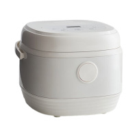 OLAYKS电饭煲5L家用多功能一键预约智能款OLK-LP-24