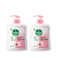 滴露洗手液清洁护肤温和洁净滋润倍护500克*2瓶(包装随机)