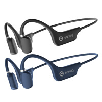 塞那蓝牙耳机通话降噪超长续航挂耳式A5SPro(颜色随机)