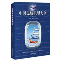 《机场应急管理与应急救援-理论、实践与探索》